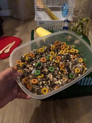 Gaiola e cercado para hamsters