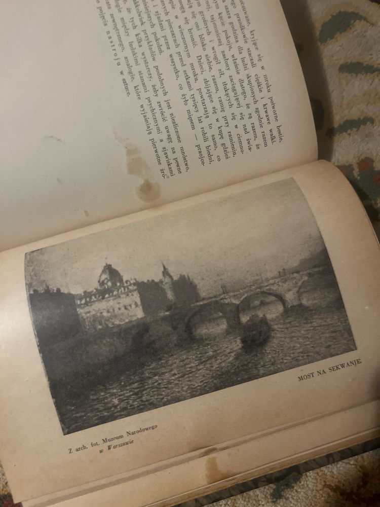 Aleksander Gierymski, malarstwo , napisane przez Stanislawa Witkiewicz
