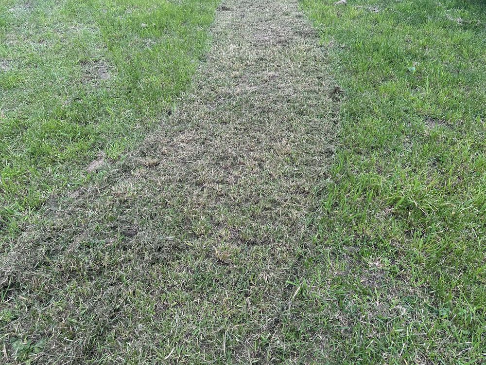 Kosiarka bijakowa koszenie mulczowanie trawy wynajem traktor