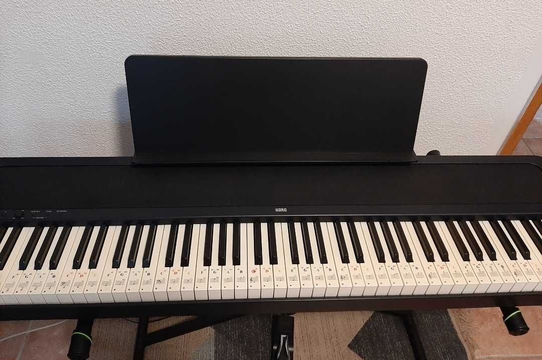 KORG B2 com suporte e pedal de sustain!