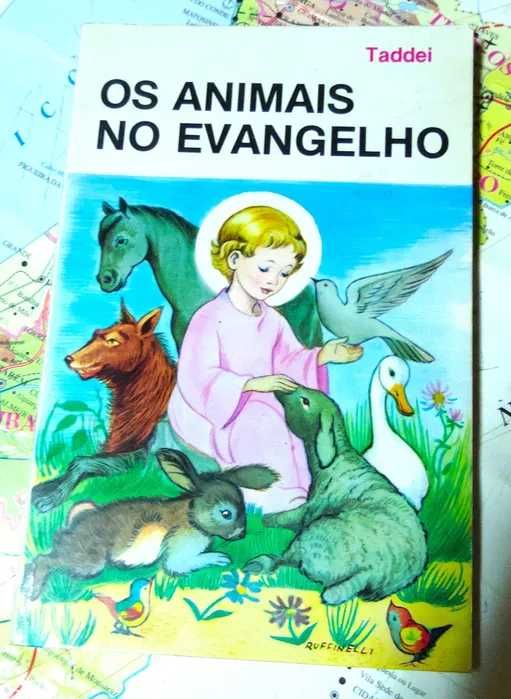 Livro Infantil: Os Animais no Evangelho - Taddei