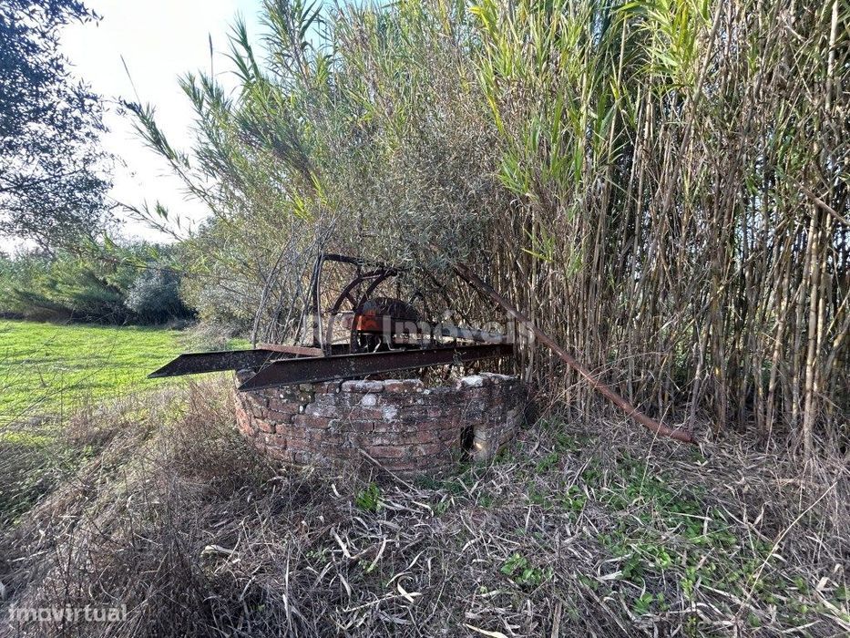 Terreno rústico 3 poços - Cardelas, Tomar