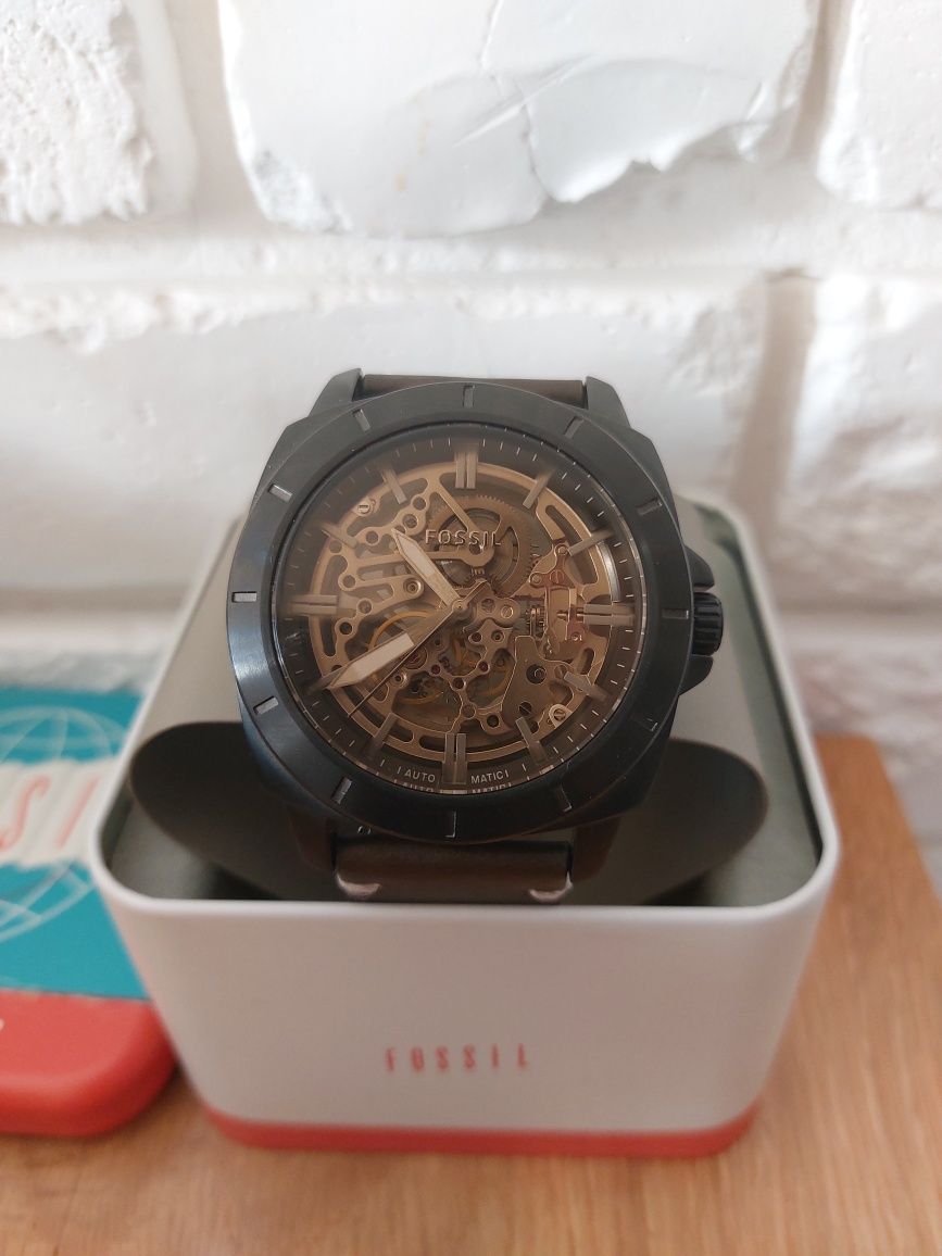 Zegatek Fossil skeleton BQ2429