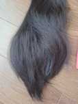 Kucyk z shinyhair