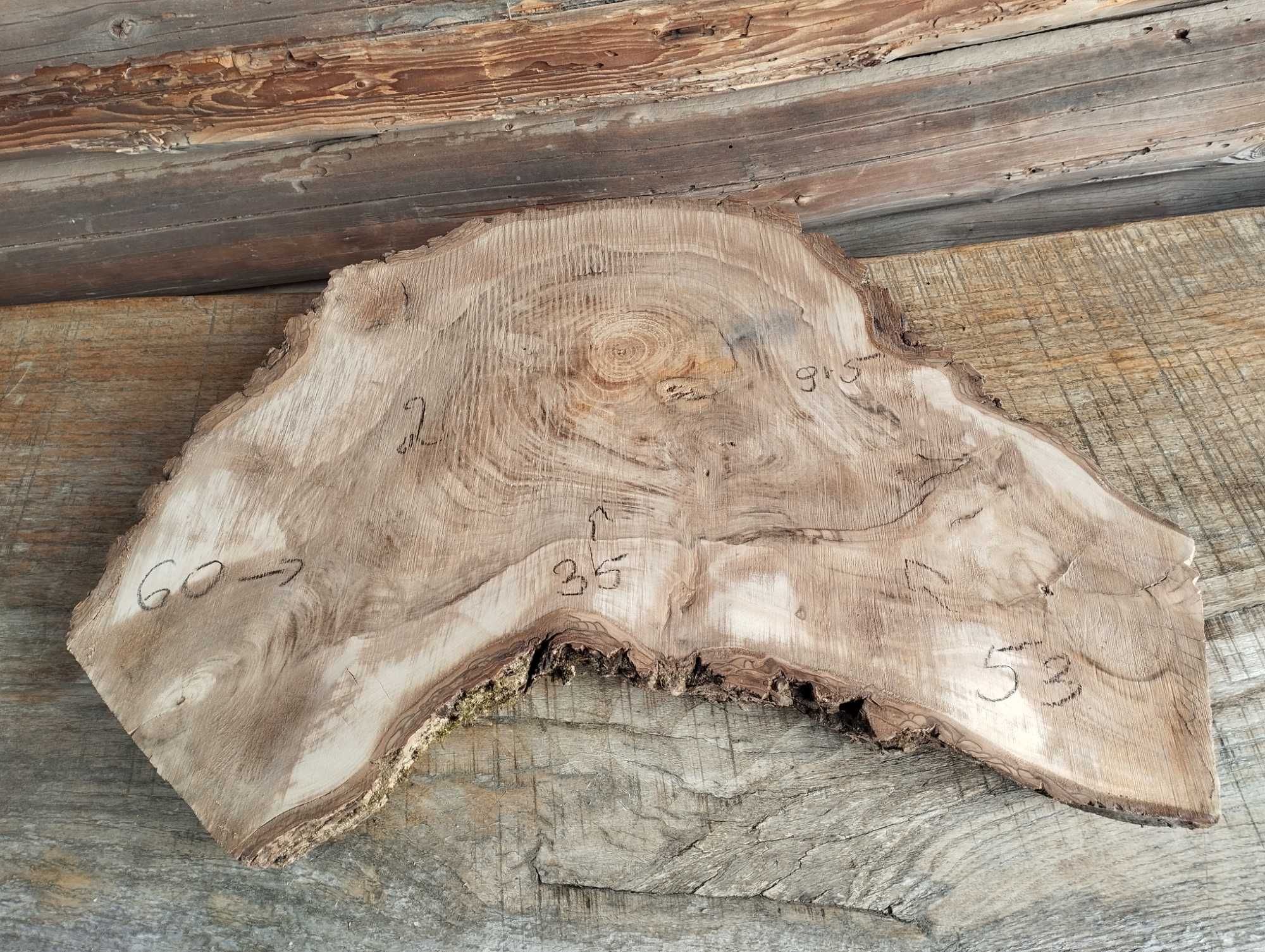 Plaster drewna duży Korzeń Piękny Solidny Orzech DIY Wybór sztuki HIT