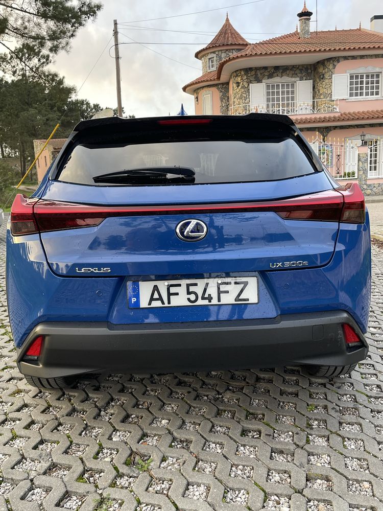 Lexus ux300e luxury