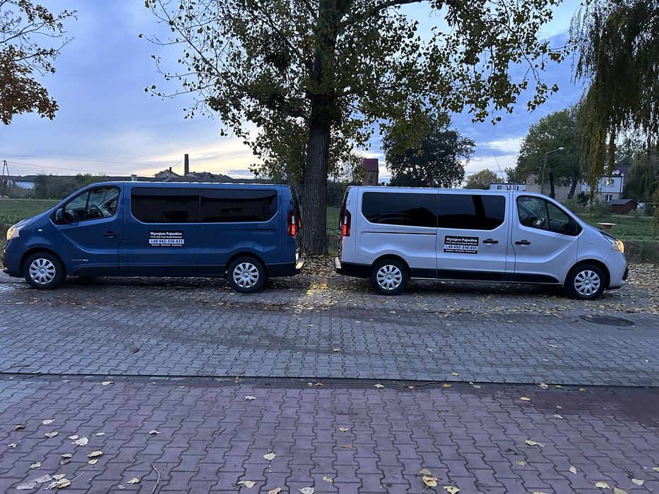 Wynajem aut dostawczych i busów 9 os.  Przeprowadzki i usługi