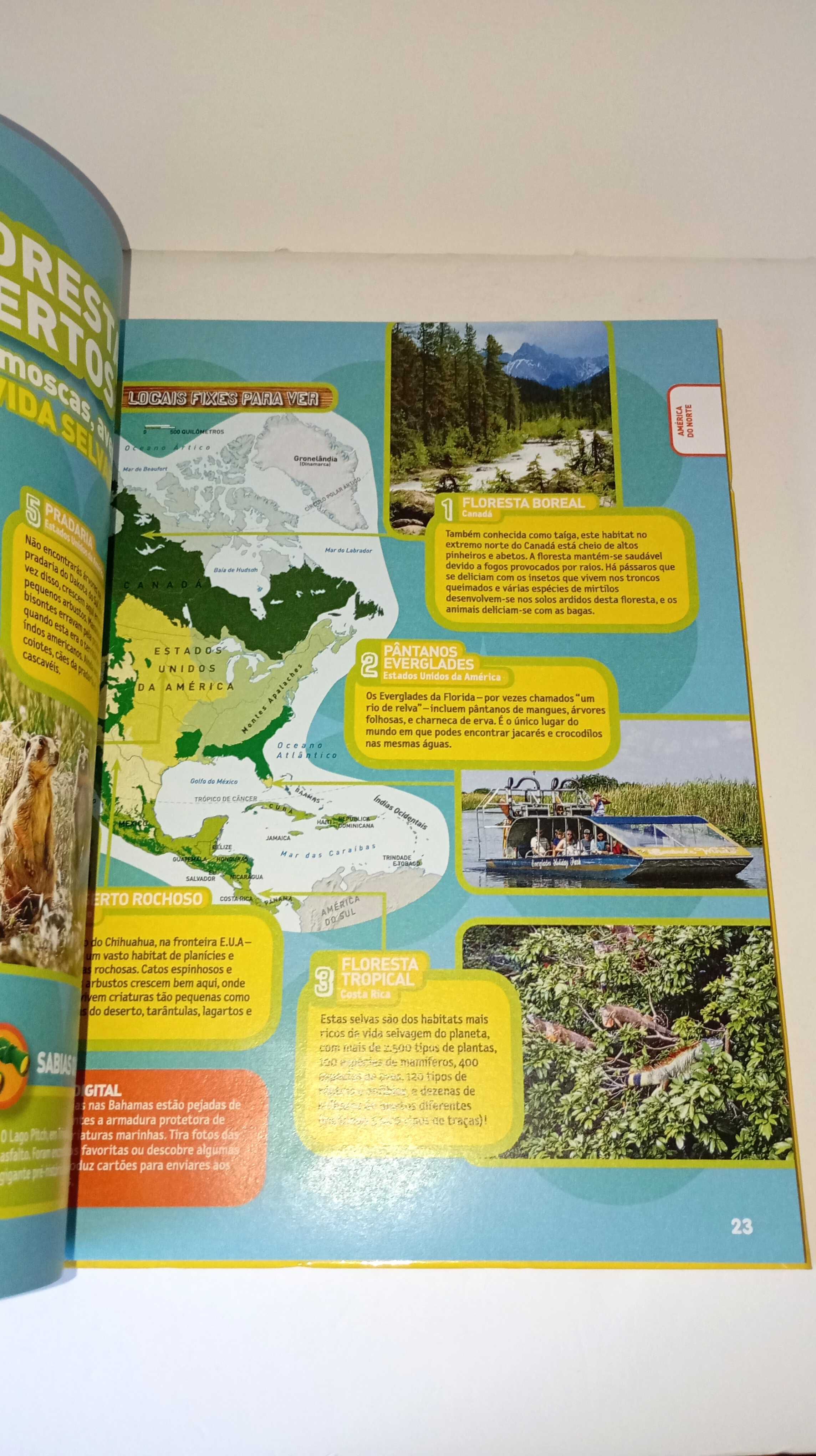 Atlas Aventura na Terra . National Geographic Júnior
