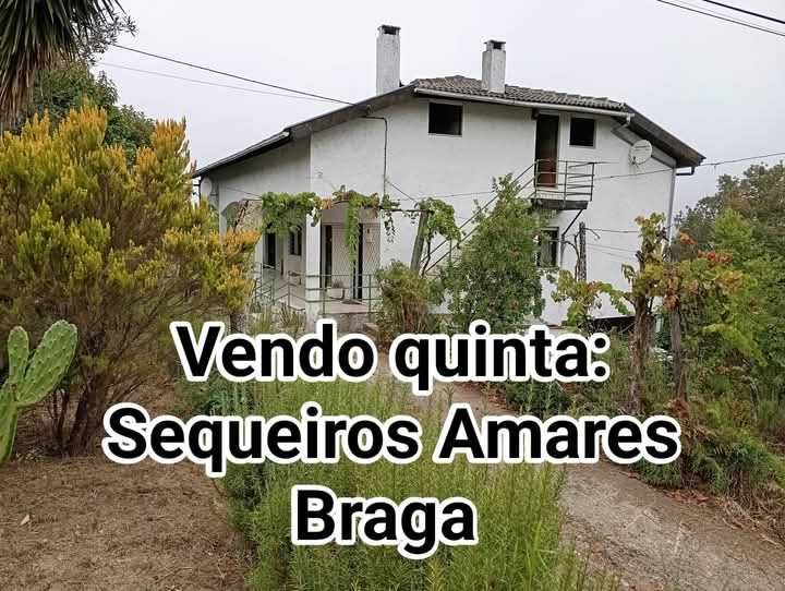 Quinta para venda com oito mil metros quadrados de terreno. Amares