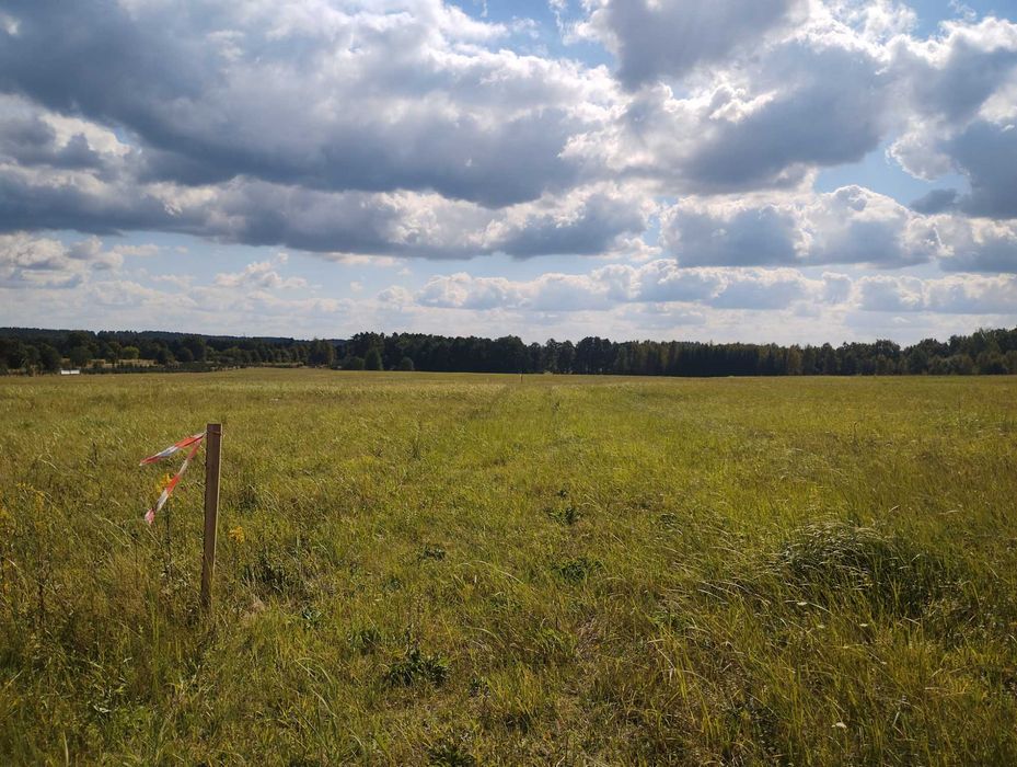 Piękna działka koło Ińska (3.000 m2)