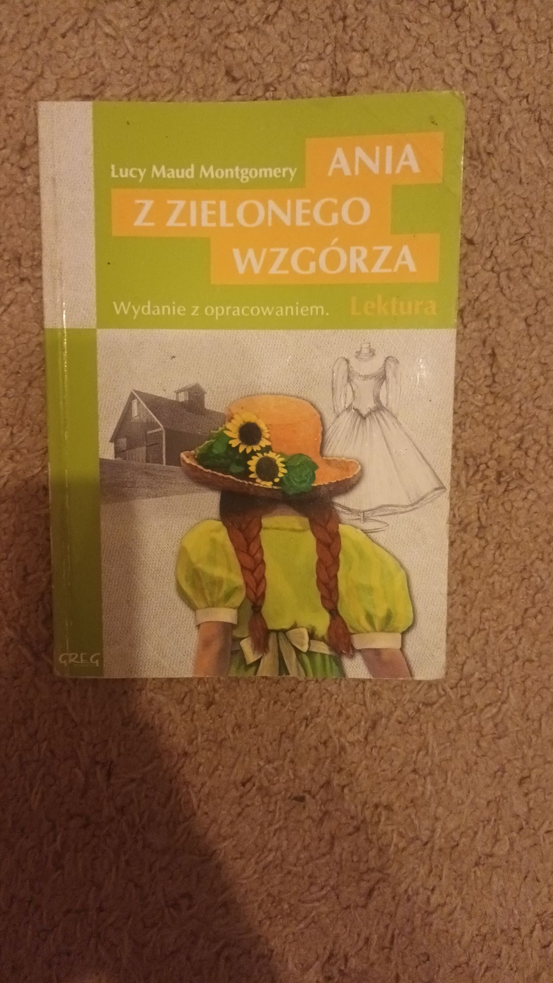 ania z zielonego wzgórza wydanie z opracowaniem lektura szkolna książk