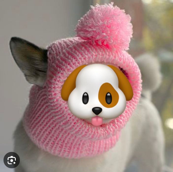 Czpeczka dla małego pieska lub kota