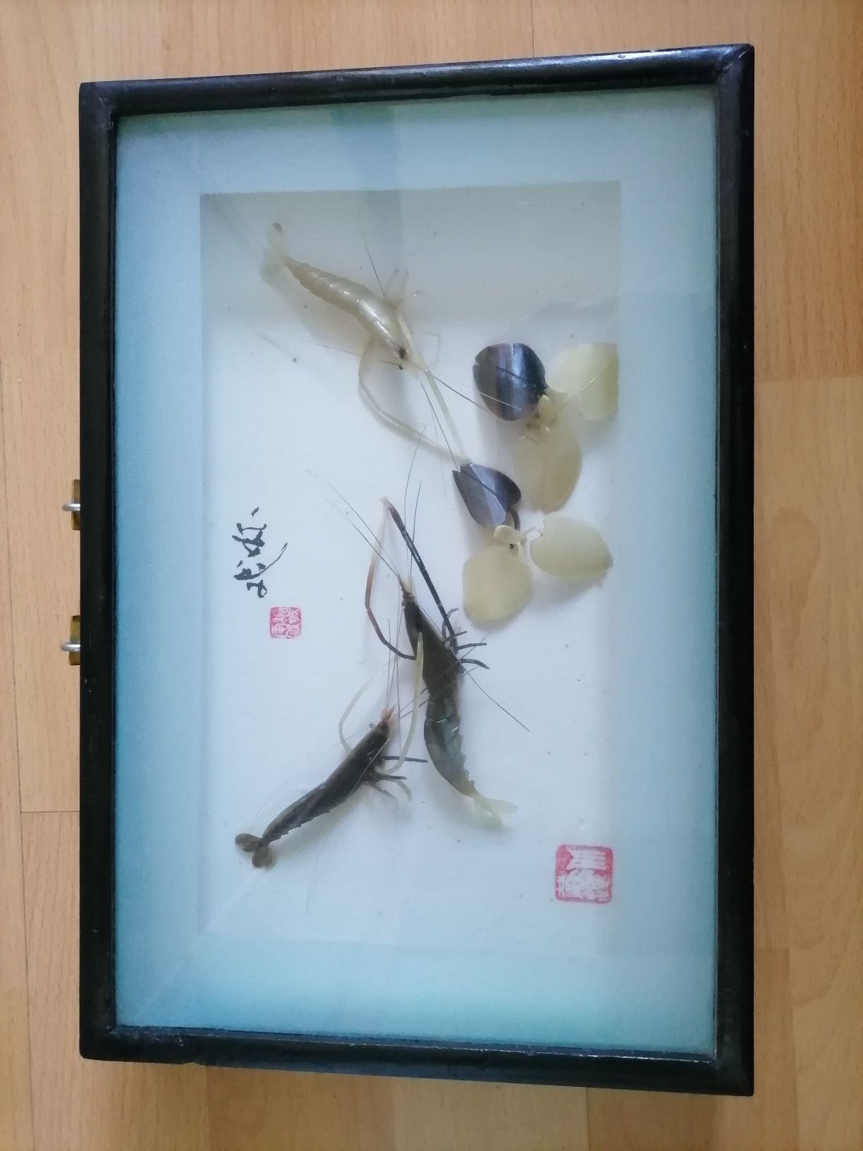 Dekoracyjny obraz Krewetki za szkłem -JAPAN