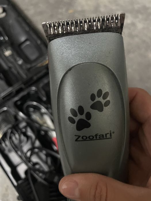 Tosquiadora cão zoofari