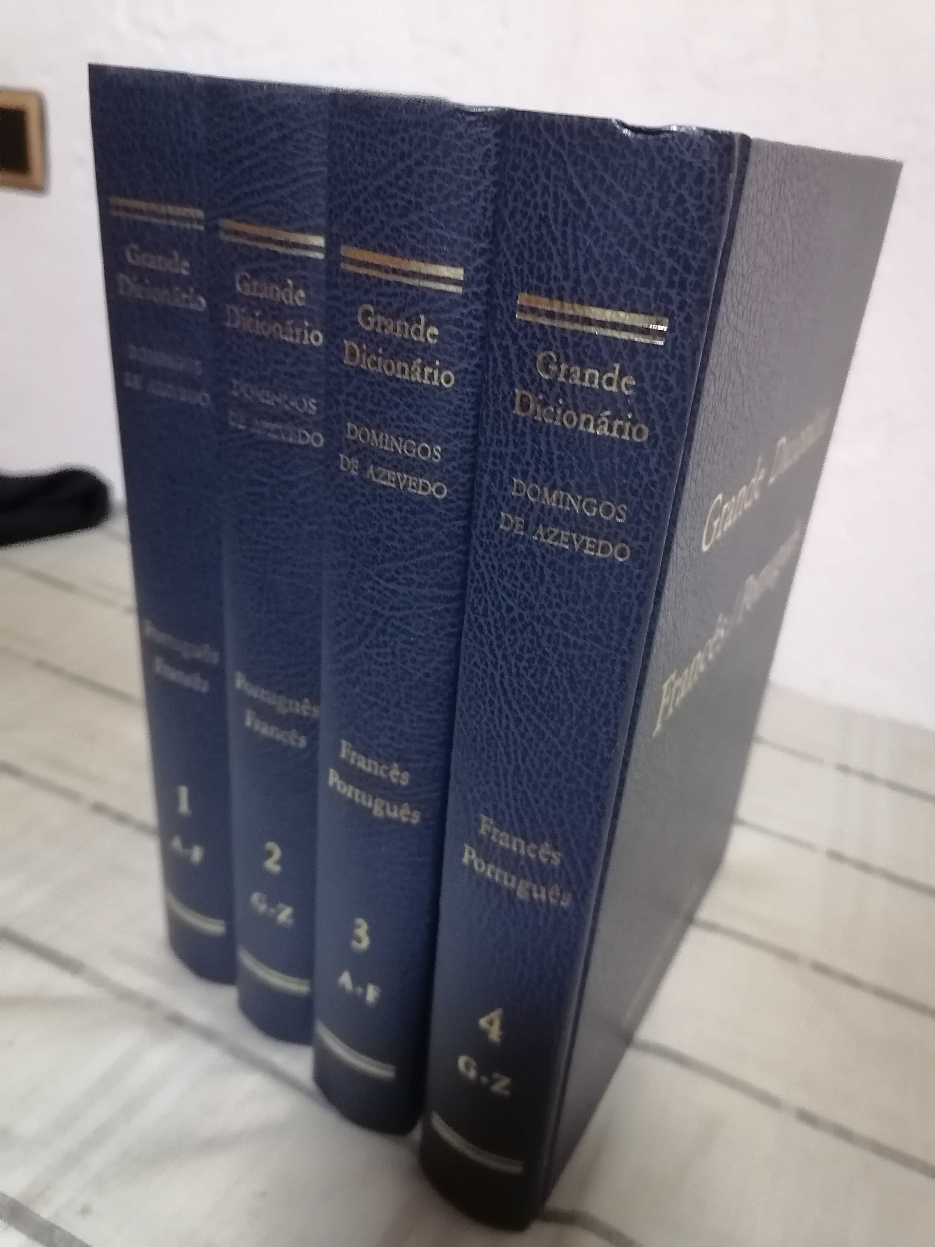 Grande Dicionário Português-Francês + Francês-Português