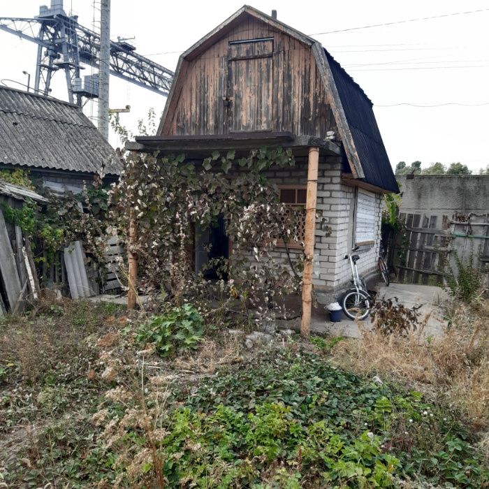 Продам, обменяю. Дача.Приднепровск. Виноградник 4.