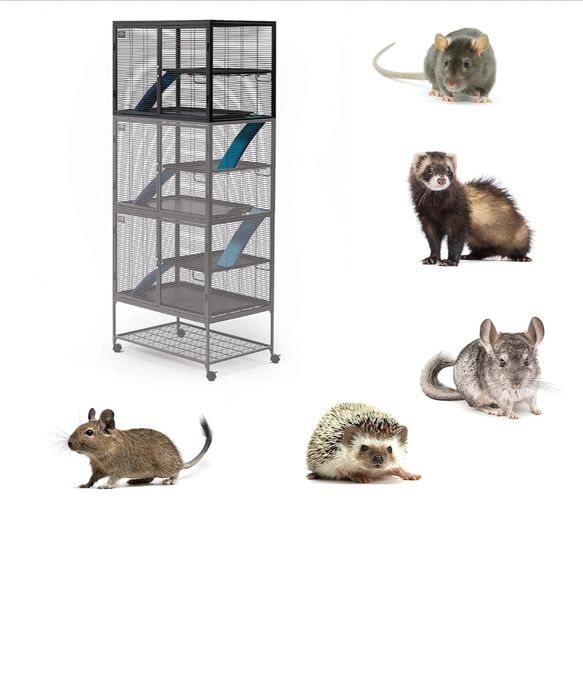 Nowa Midwest Homes For Pets Critter Nation Klatka dla Małych Zwierząt