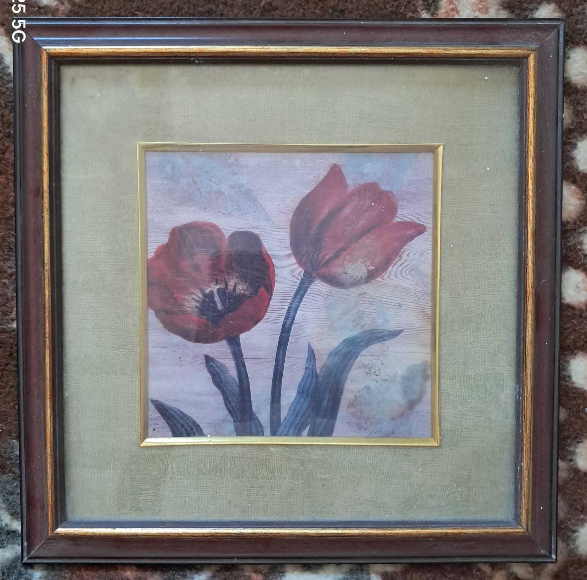 11 Quadros Decorativos Variados
