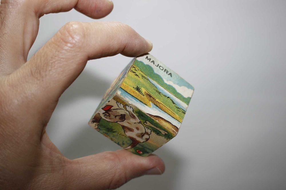 Antigo Jogo Majora completo - Cubos de madeira - Tematica animais