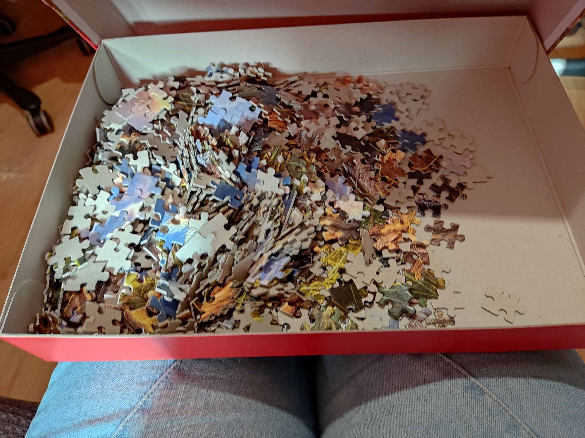 Duże puzzle 1000 lwy