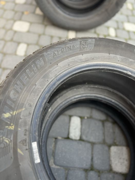 195.65.15 Michelin Alpin 6