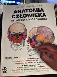 Atlas anatomii człowieka - NOWY