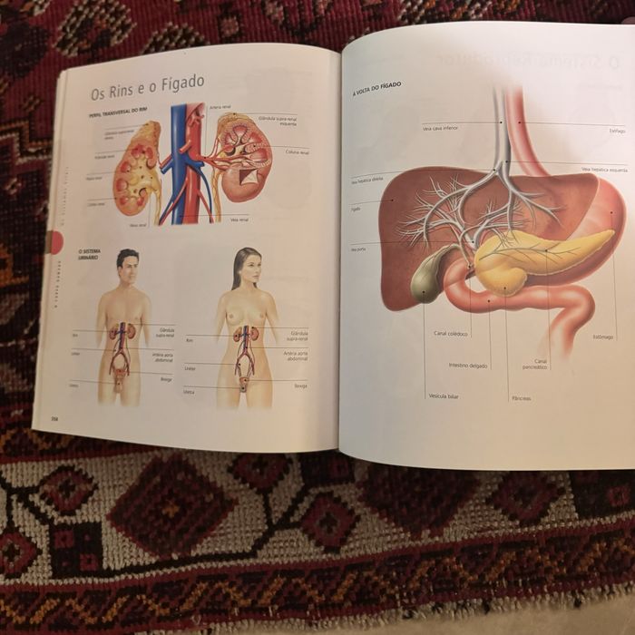 Dicionário Visual por Círculo de leitores