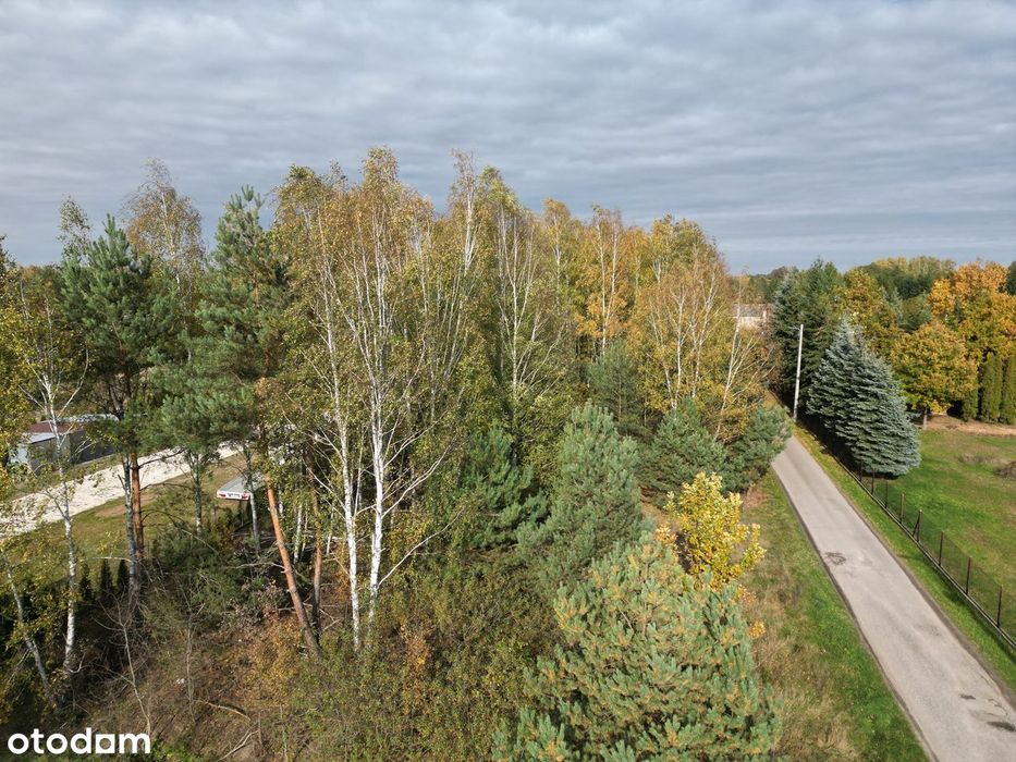 Urokliwa działka budowlana 1331 m² | Mrozy, gm. Puszcza Mariańska