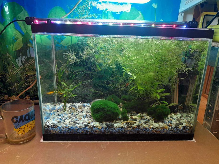 Акваріум комплект 18л. МініАкваріум все в комплекті