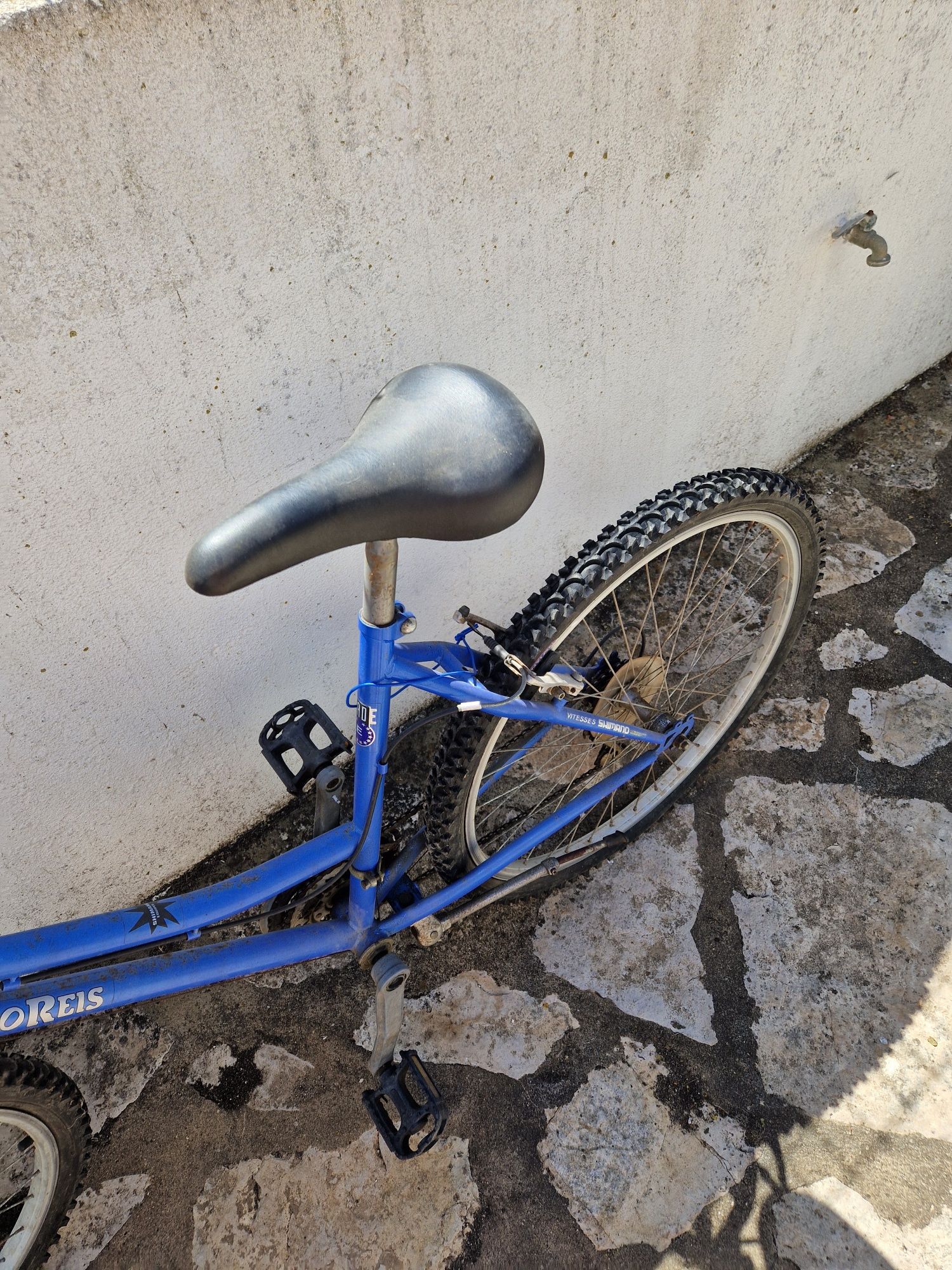 Bicicleta feminina BTT