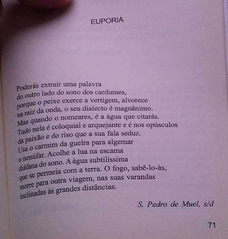 A poesia de Paulo Ferreira Borges