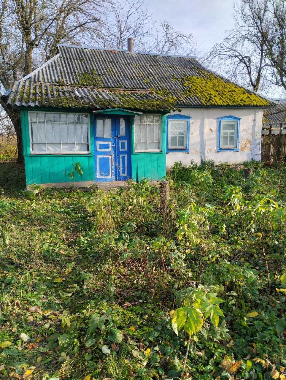 Хата дача з земельною ділянкою Стара Басань Чернігівська область