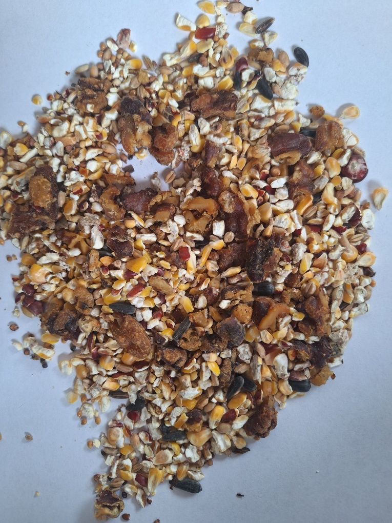 Pokarm do karmnika Danimo ORZECHOWY 1 kg.Dla ptaków zimujących.