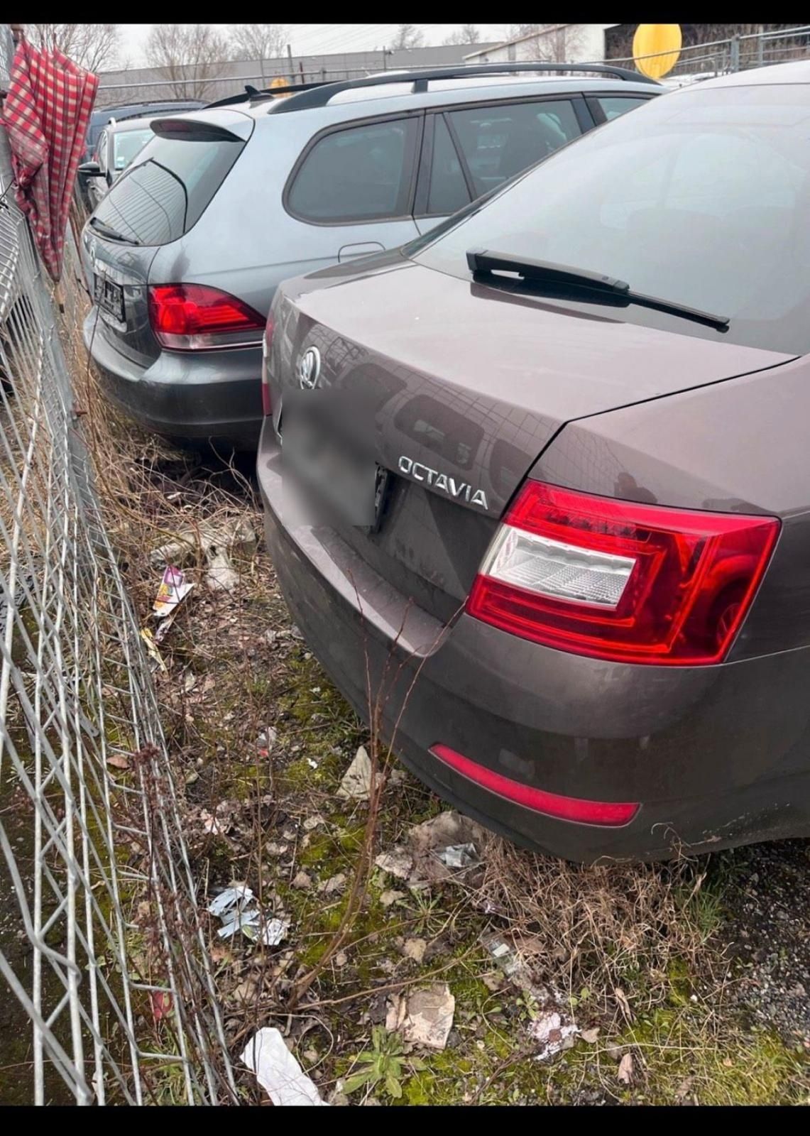 Skoda Octavia Elegance 1.6 Tdi xenon navi, stoi w Niemczech