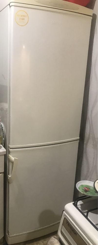 Холодильник , холодильна камера Gorenje