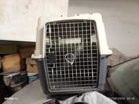 Transportadora pet XL 74X45X56cm