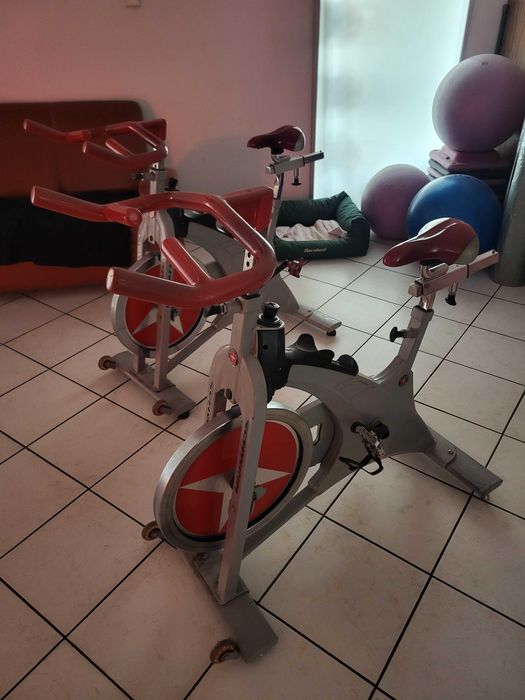 Rowerek spinningowy schwinn evolution SR