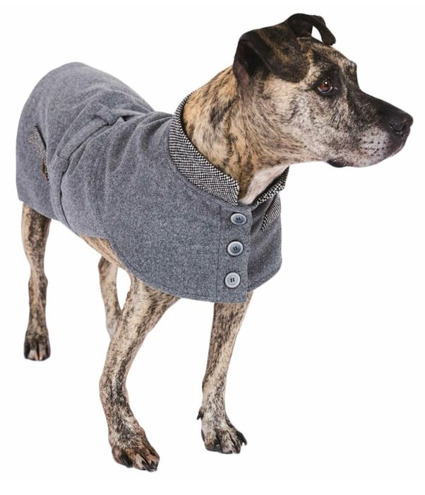 Нове твідове пальто для вашого песика, одяг для тварин р.S