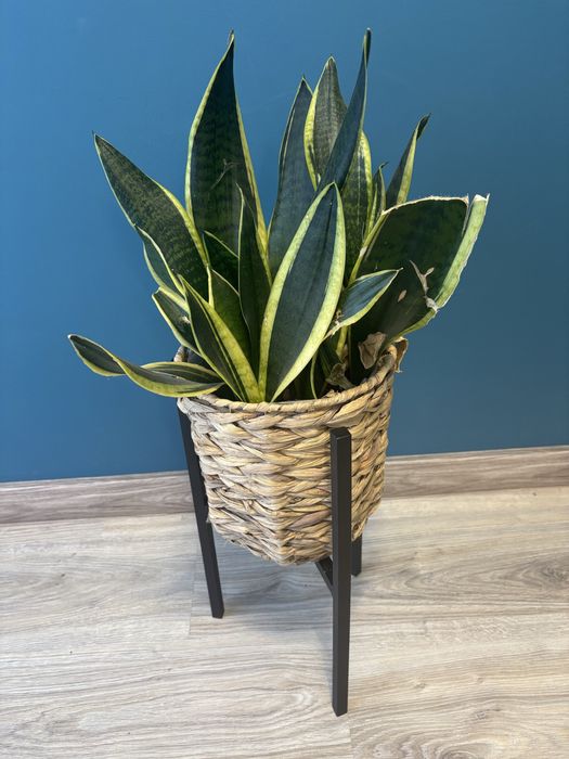 Stojak kwietnik wysokosc 40 cm