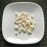 KEFIR do Leite : um tipo de probióticos