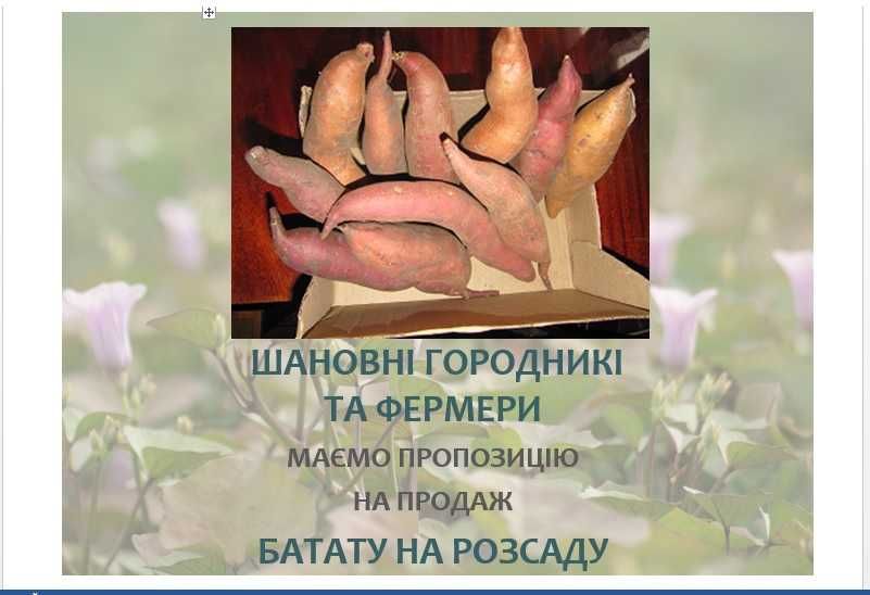 Батат/Посадковий матеріал/Бульби/Живці