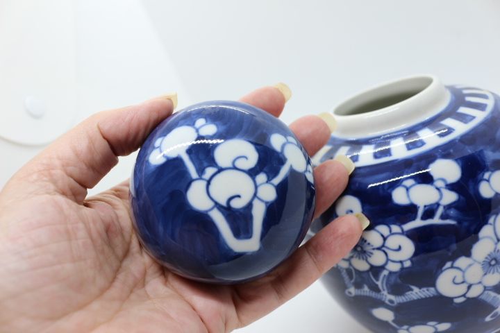 Pote Porcelana Chinesa Decoração Ginger a Azul e Branco XIX 16 cm