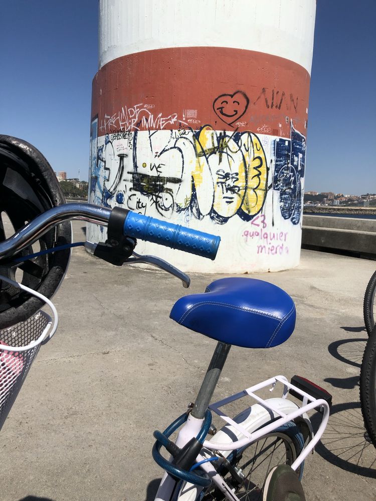 Bicicleta Dobrável