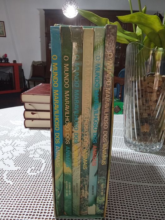 Coleção de 6 livros
