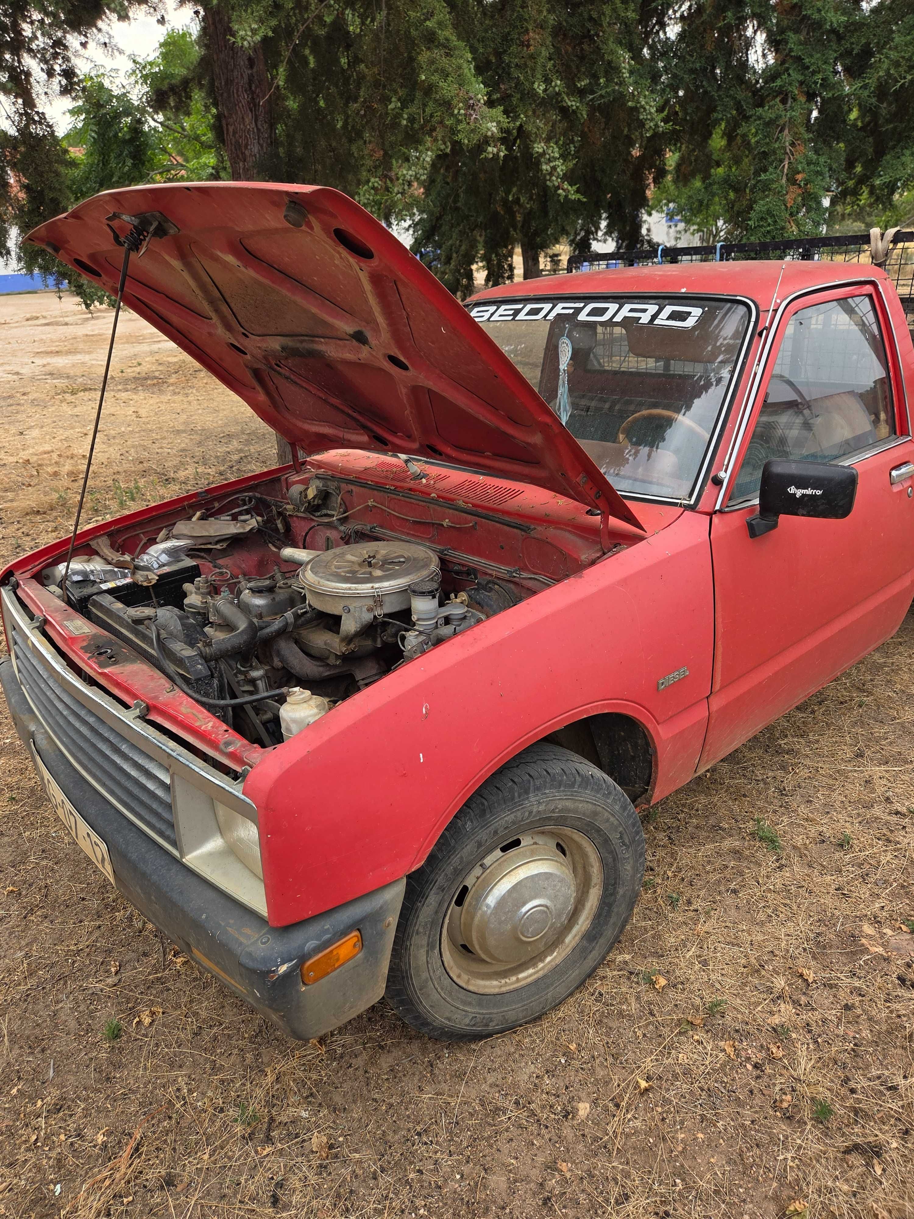 Bedford 5 estrelas