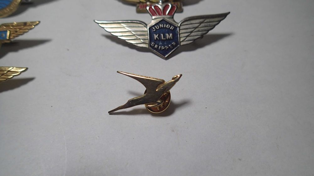 Brevets e pins da aviação