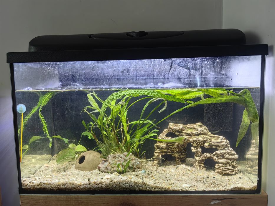 Sprzedam Akwarium 65l