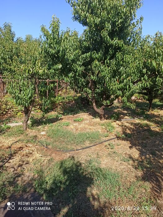 Продаётся дом район метсанчасти