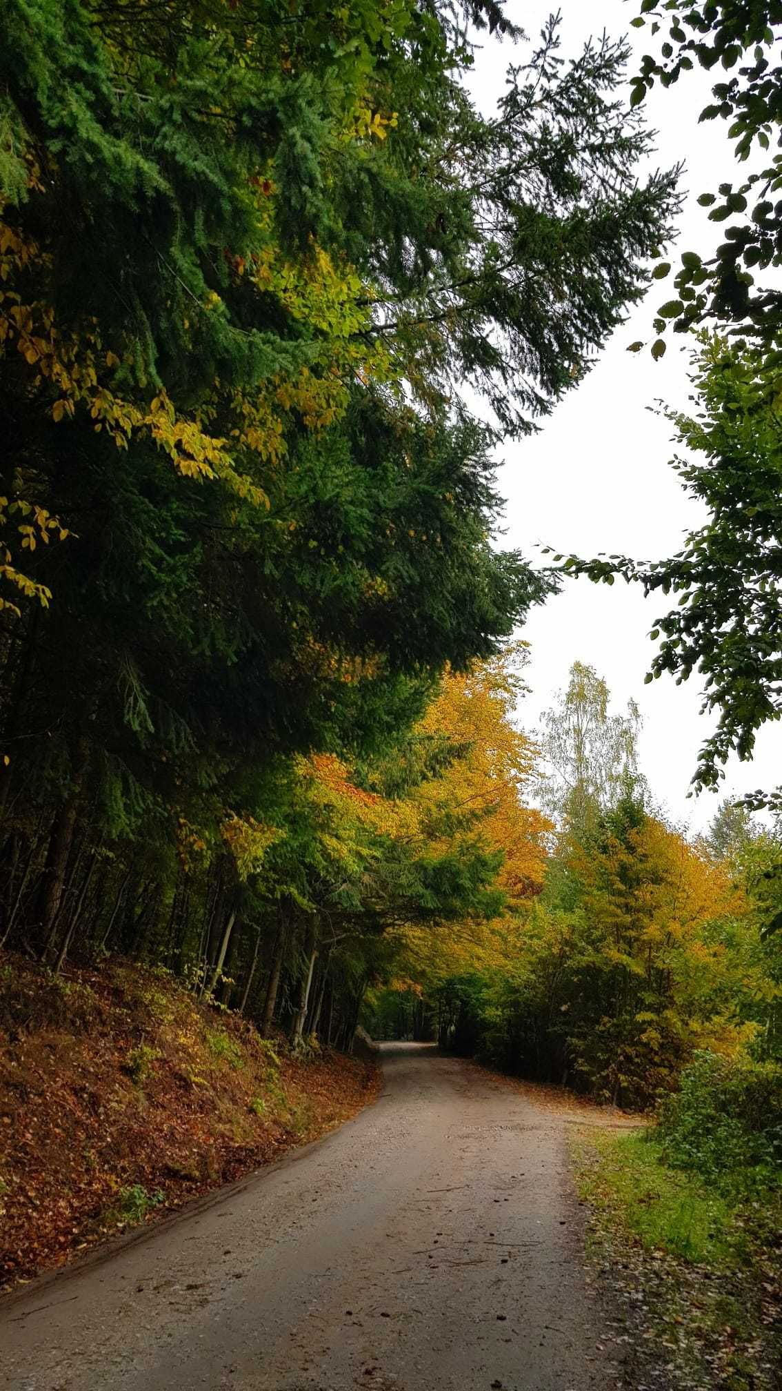 Działka budowlana nad morzem - Rumia, w Dolinie Zagórskiej Strugi