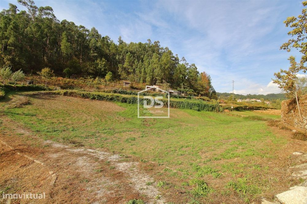 Terreno  Venda em Souselo,Cinfães